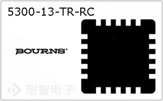 5300-13-TR-RC